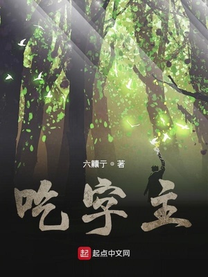 兰陵王妃全集免费观看DvD